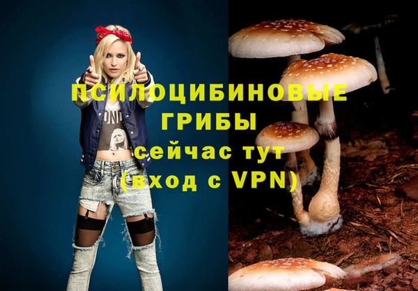 прущая мука Белокуриха