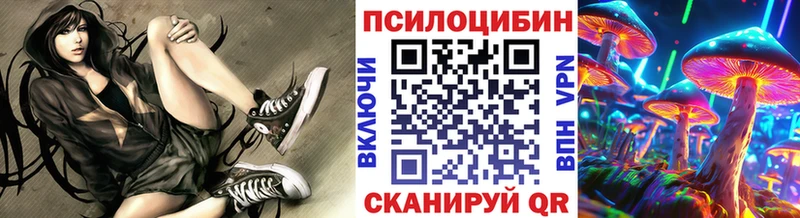Галлюциногенные грибы Psilocybe  Красноуральск 